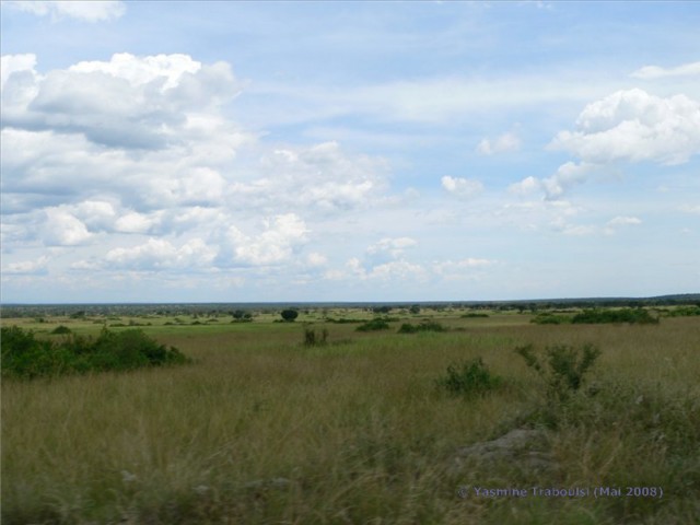 Landschaft Queen Elizabeth Nationalpark