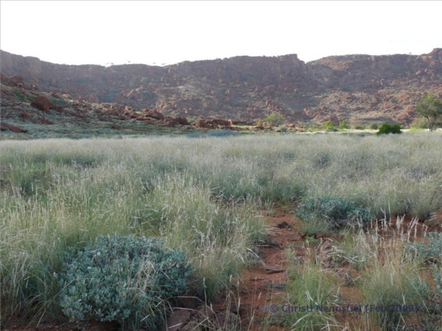 twyfelfontein_landschaft