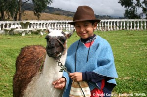 Indio-Junge und sein Lama im Andenhochland