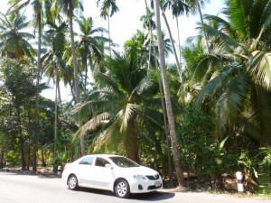 Toyota vor Kokospalmen