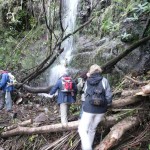 Wandern auf Madeira