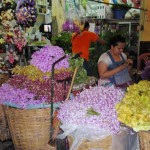 pak klong talad