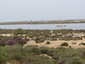 Strände bei Tavira-nur mit dem Boot erreichbar