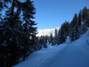 Impression vom Skifahren in der Schweiz