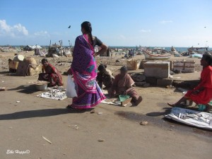 Fischverkauf direkt am Strand