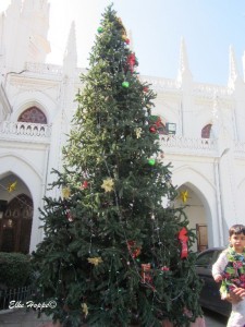 Weihnachtsbaum im Süden Indiens