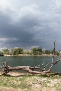 Eindrucksvolle Flusslandschaft im Sambesi Nationalpark