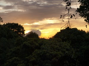 Canopy - Sonnenuntergang über dem Amazonas