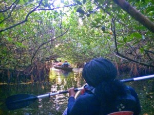 Kanutour in den Everglades