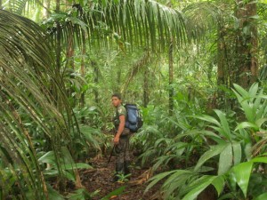 Mit dem Reiseführer im Regenwald von Brasilien