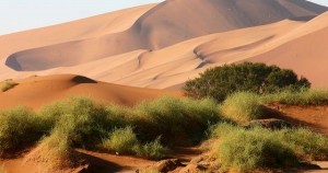 Namibia Naukluft Park Sossusvlei