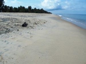 Unsere letzten Tage am Marari Strand