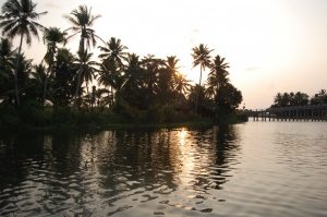 Kanu tour auf den Backwaters in Kerala