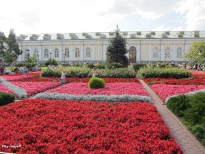 farblich abgestimmte Blumenpracht am Alexandergarten