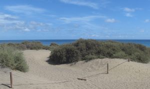 Strand auf Gran Canaria